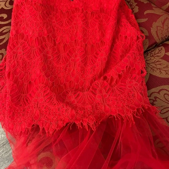Fashion Nova Red Lace Midi Skirt with Tulle Hem - Picture 3 of 4
